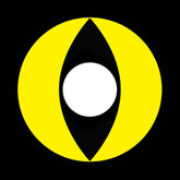 חתול צהוב - Yellow Cat