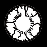 ערפד שחור - Vampire Black